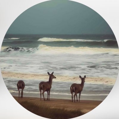 GfrnA25479's profile picture. 