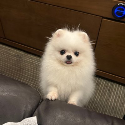 SeacsfChoi's profile picture. 人を安易に評価してはいけません。その人が経験したことを経験していないからです。