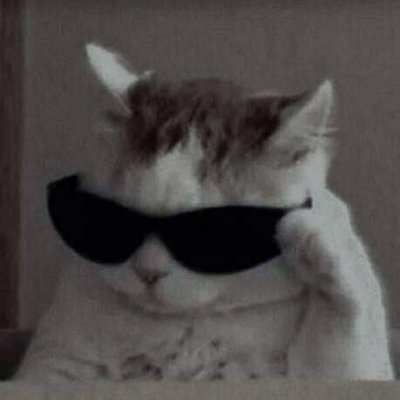 z3r0X0r's profile picture. CTF player || Security Researcher || Self Learner