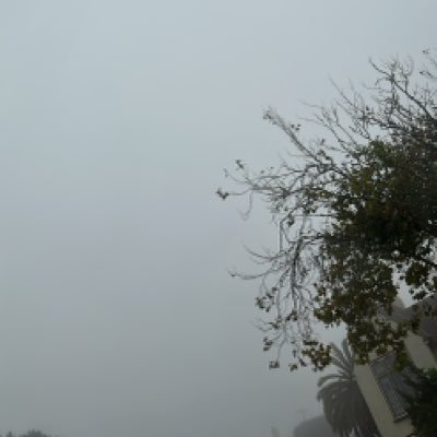 ilayski's profile picture. livin' the life