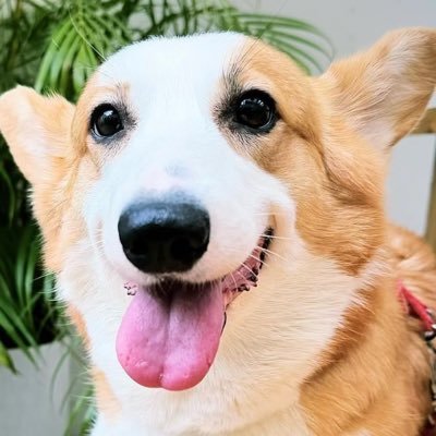 LinSai1234567's profile picture. Hi There!