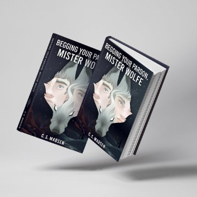 I write fiction of all varieties. Spacecraft, swords, spells, spies, statecraft, songs, sorties, sin, secrets, & so on. Wanna quit my day job. Poetry/Prose = 💖