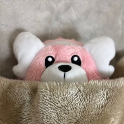 _kiteruguma_'s profile picture. シンオウ地方に住むキテルグマさん ｜ 他の子たちも登場します ｜ ゲーム関係のポストもあります ｜ 等身大キテルグマと暮らすのが夢 🫧