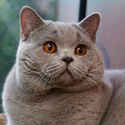 mustefa223's profile picture. https://t.co/HRxufSzS0g