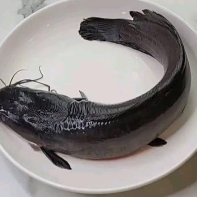TweetyTyno's profile picture. 