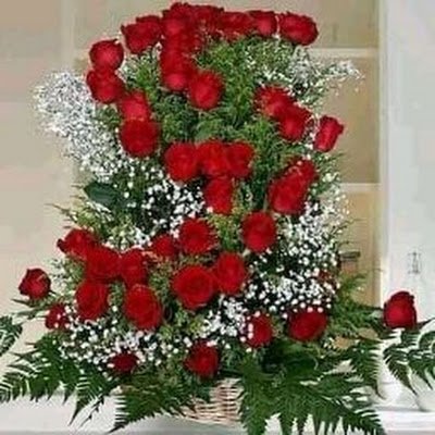 BZakariya3231's profile picture. 