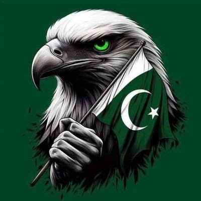 I m a one woman army. Pakistan,e first certified professional on 5th generation warfare. I deal dirt with dirt.