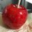 kishu_RAB