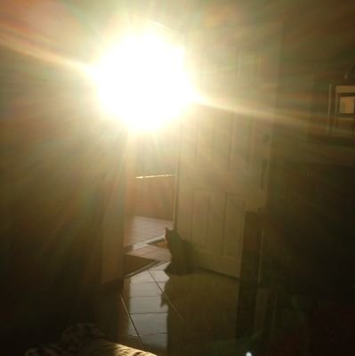 noeralaidea's profile picture. .