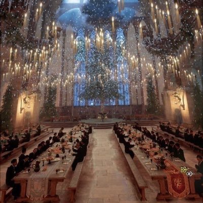 jlqfOkfXjC72627's profile picture. 