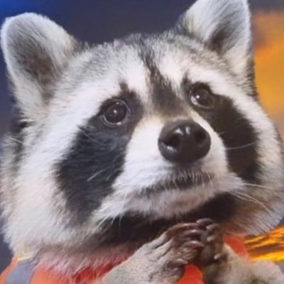 🌐 The original and Premier Twitch Valve game speedrunner HMU for nudes of your mom https://t.co/BSeGmN9MH3 🌐