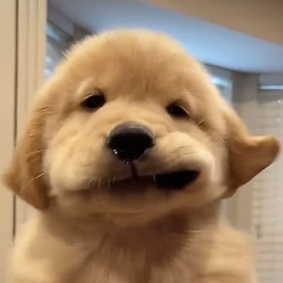 Ati110524's profile picture. ท่องไว้ นั่นลูกนะคะ!!!!!!