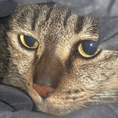 らびっしゅ/八千四葬祭