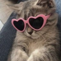 Héllen (@pvdhellengomes) 's Twitter Profile
