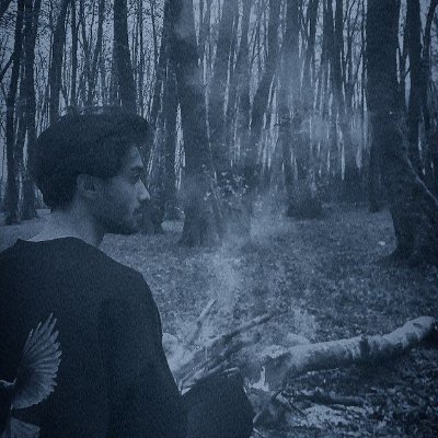 isiavash2000's profile picture. 
