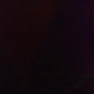 yl2155805641549's profile picture. 