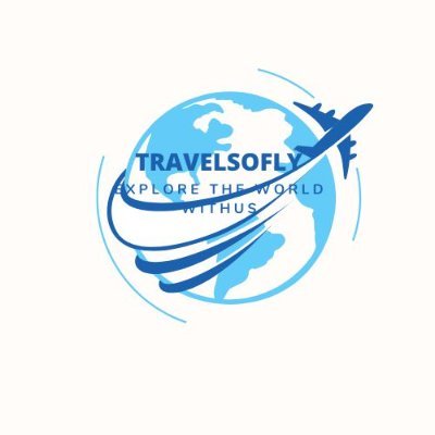 TRAVELSOFLYLLC's profile picture. 