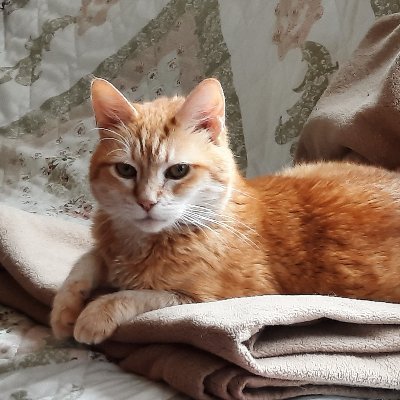 CoastalGranma's profile picture. One of those West Coast libs they warned you about on Facebook.
Retired after a career in medical research. Trust the science. 
No bots, no porn, no MAGA #FBR