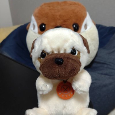 oxxta91's profile picture. 타이완에서 시작된 제 여행은
태국의 밤, 스위스의 눈, 이탈리아의 시간 속을 지나갑니다.
그리고 한국 음식은 제 여행의 작은 위로예요 🌙🍜