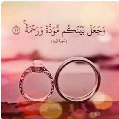 Reem_work's profile picture. ام الريم🌹خطابه الشرقيه ونجد ،في خدمتكم على الواتس ،وتجدون افضل خدمة ،لااحلل من يضيع وقتي وجهدي ، اخذ ٣٠٠٠ ريال بعدالعقدالشرعي اوتجلس في ذمة من خدمته 0531982301
