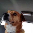 rick - @RickDuffy63 - Twitter