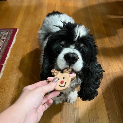 LanAstaslem29's profile picture. Wife/mother. Conservative Catholic. ChemE/Data nerd. Don’t be an ass. 🚫DMs. #adulthumanfemale