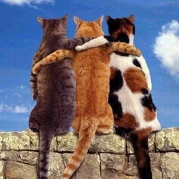 sancakakuy's profile picture. let's go to the moon