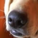 tratrat2's profile picture. 