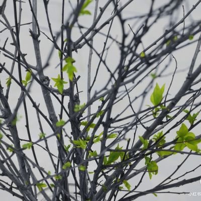 froaenbria30529's profile picture. 冲浪来的