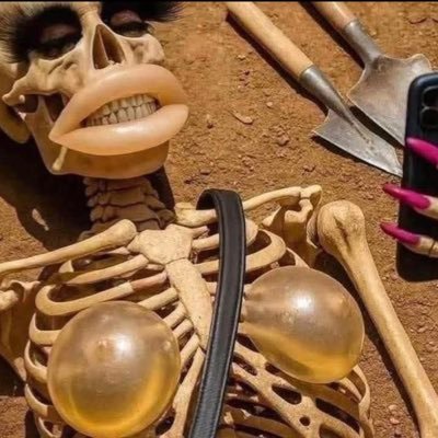 CherguiBadredd3's profile picture. 