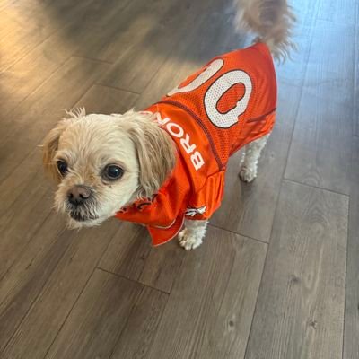 thisisnotspeed's profile picture. KICK and Twitch Mod