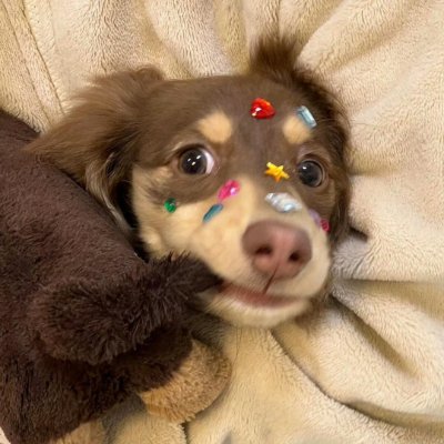 Opel5372's profile picture. 🏡 Family First 🇺🇸 Patriots.  I hope that I will be like a blooming lily, pure and elegant. sharing occasional deep thoughts and quirky humor.