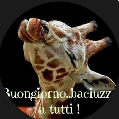 lucia_marmo's profile picture. 