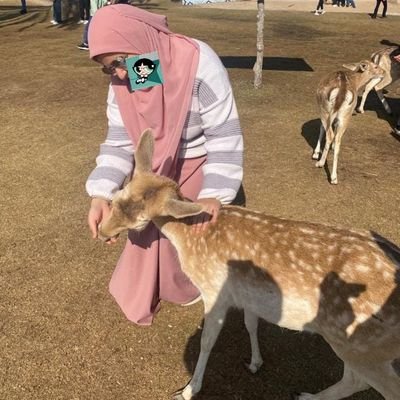 EsraaSalem20456 Profile Picture