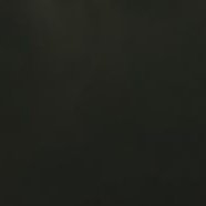 PIL_Freya's profile picture. 