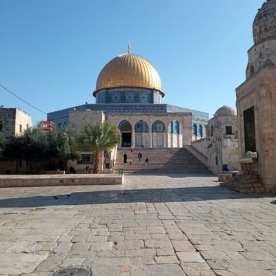 NatCom172660's profile picture. 