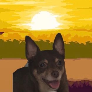 julianbee_nj's profile picture. The world

is as big as you want it to be.

Where will you go next?