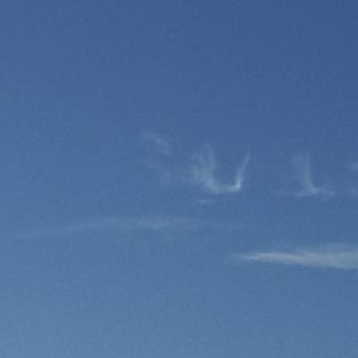 ozresit06's profile picture.