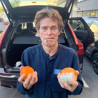 umvitorqualquer's profile picture. part-time designer, full-time disaster