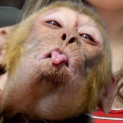 efeozkok_'s profile picture. technice constantinople