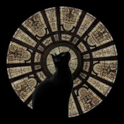 Allieza_vienna's profile picture. simply me ❀