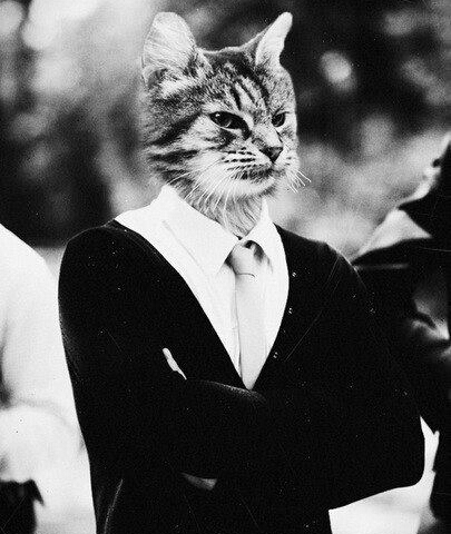 Nico_Parker's profile picture. Digital modeler for Audi, apeupriste patenté.