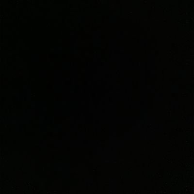ridwnxo_'s profile picture. A guy who believes his cat understands him better after the third cup of coffee.