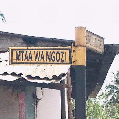 hussein_ng21680's profile picture. Hip hop really_____ #TUJARIBUNI KUWA MAKINI MAANA SHIDA ZINATABIA YA KUTUKUTANISHA NA TULIOWAZARAU MWANZO….