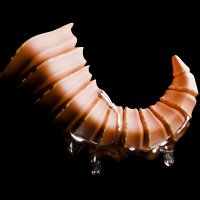 Erohorns (@erohorns3d) 's Twitter Profile Photo Erohorns (@erohorns3d) 's Twitter Profile Photo
