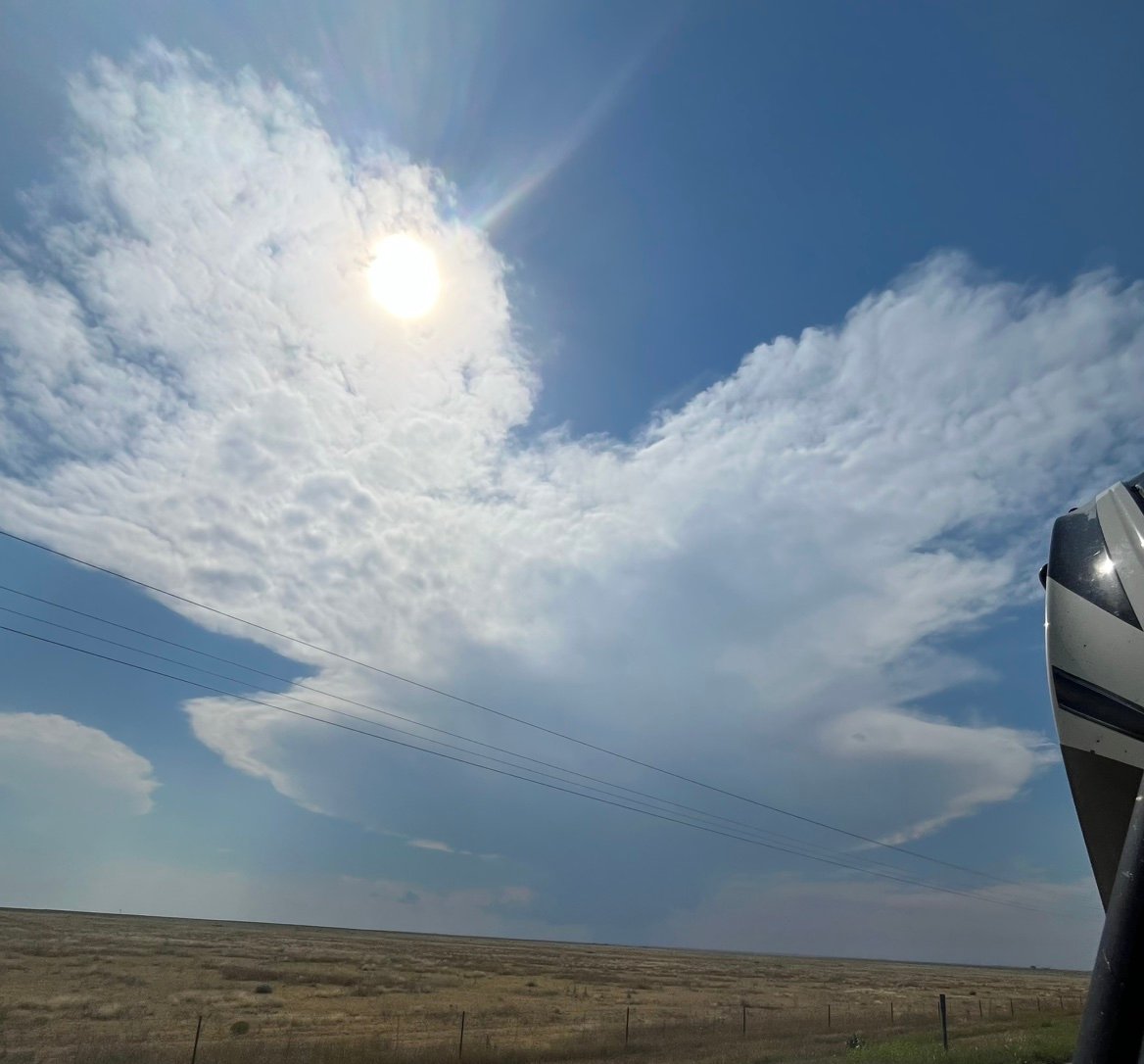 JJ050182's profile picture. 