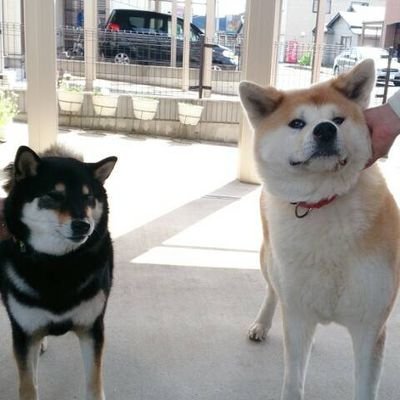 fourth2912miu1's profile picture. 犬派。映画·漫画大好き。最近は歴史モノにハマる。お酒も大好きだが、医者に怒られるので休日だけ呑む。