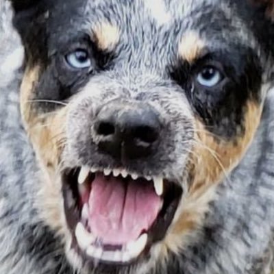 cowboy_jms's profile picture. ❤️🇺🇸Love my country and it’s people🇺🇸❤️ GOD-FAMILY-FISH-GOLF-HUNT. #MAGA🧡 #TRUMP🧡#Veterans #turn22to0 #humantrafficking