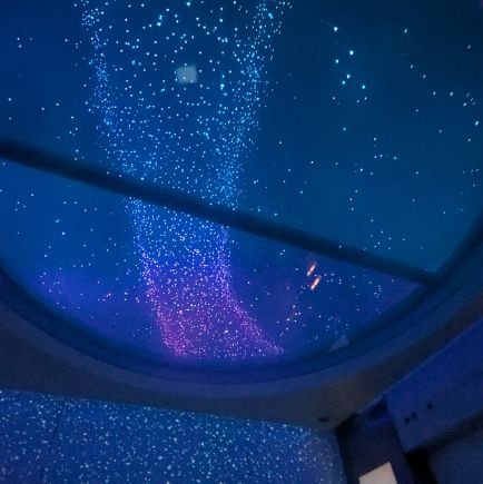 Api_oshikatu's profile picture. 負けず嫌い！常に金欠