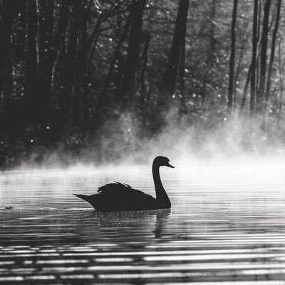 ii01lii's profile picture. مَر حُبا